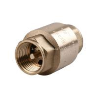 Клапан зворотного ходу води Q PROFESSIONAL  1″ QP100 в інтернет-магазині Yago